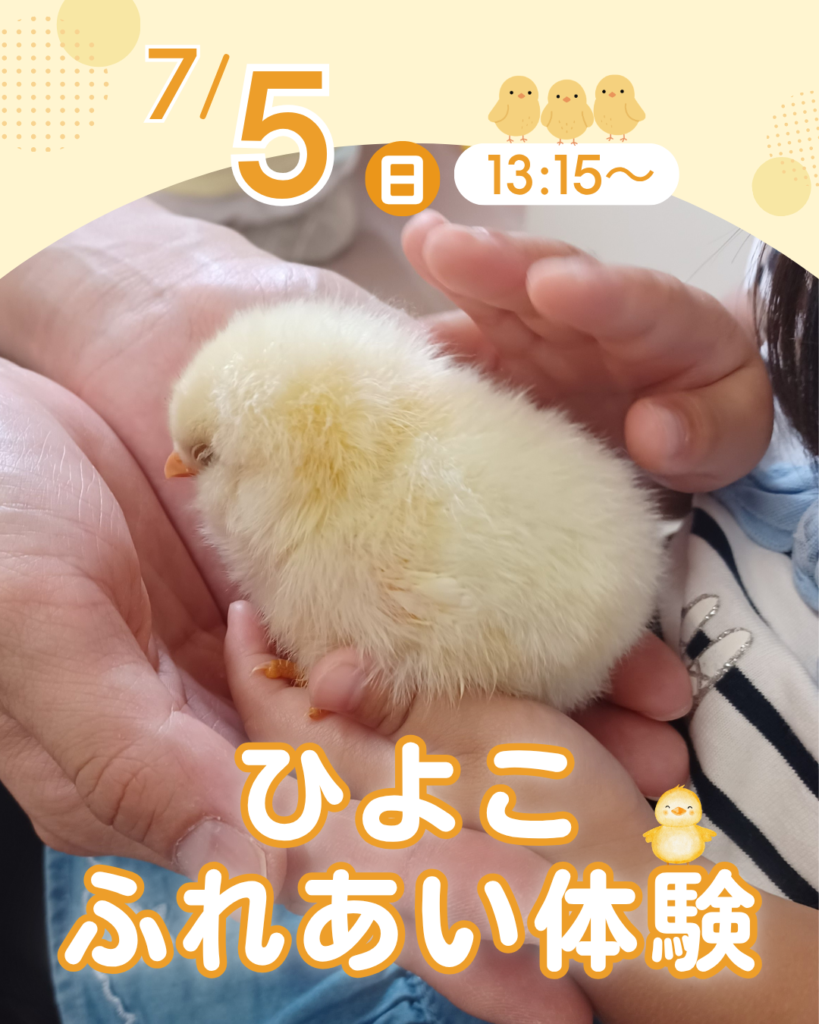 7/5（日）ひよこのふれあい体験開催！ – 名古屋市農業センターdelaふぁ